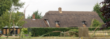 Field Cottage August 2010